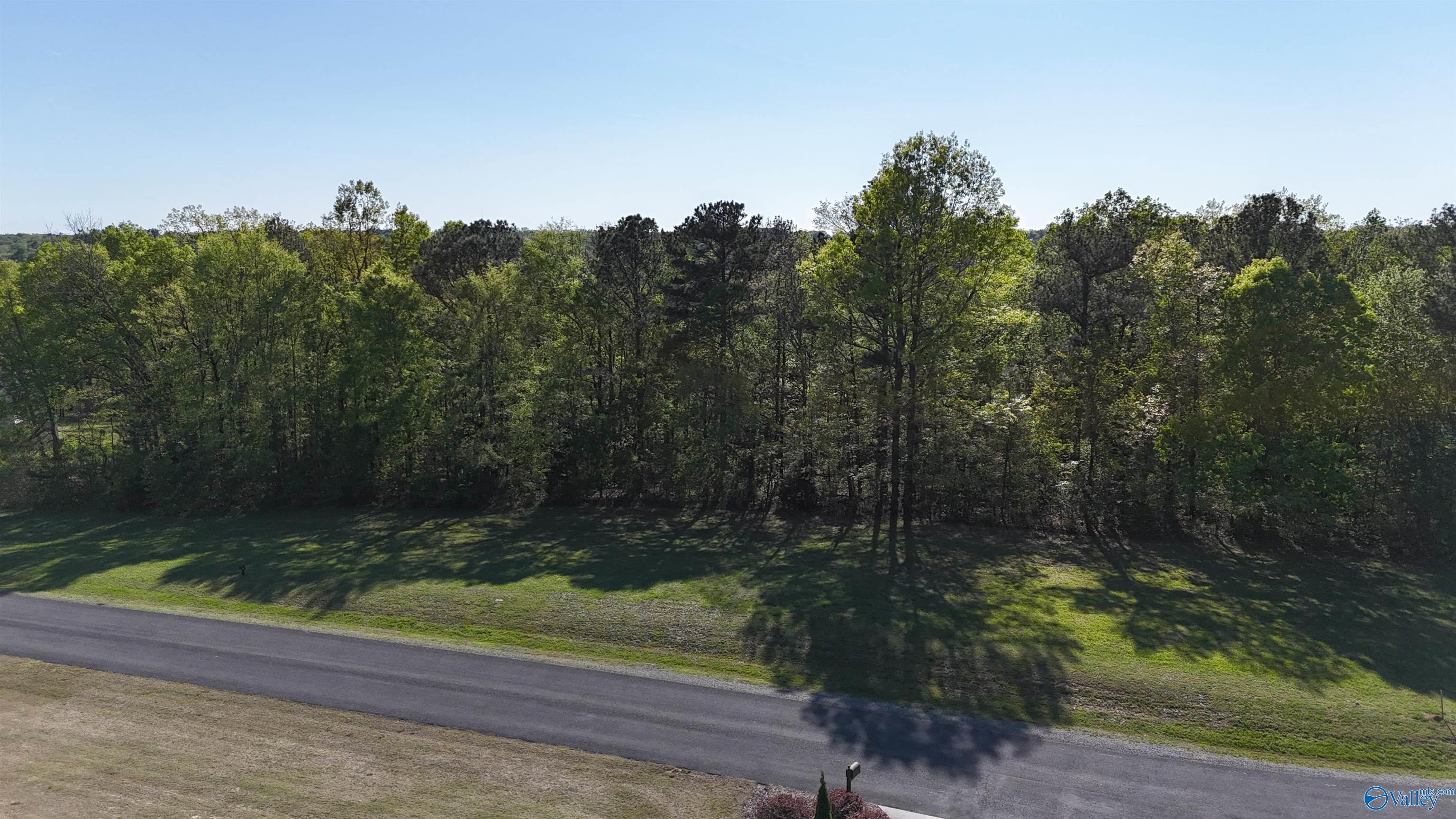 14 Worthington Lane, Guntersville, Alabama image 3