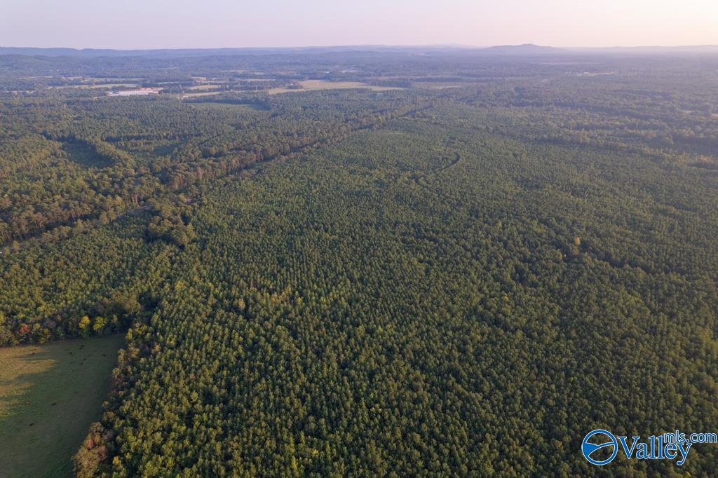 110 Acres Highway 11, Ashville, Alabama image 9