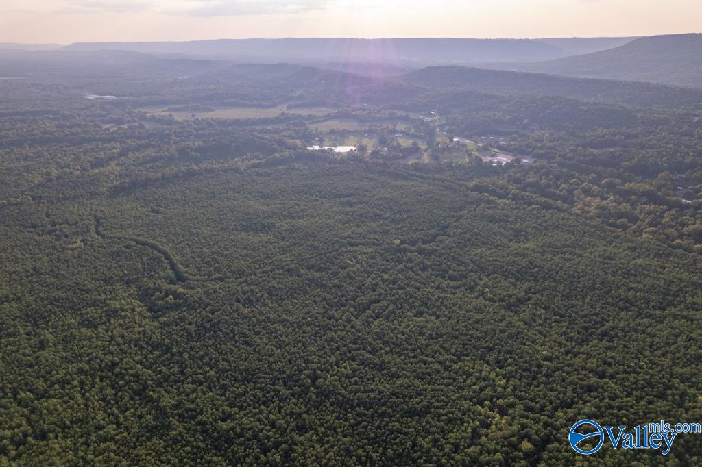 110 Acres Highway 11, Ashville, Alabama image 7