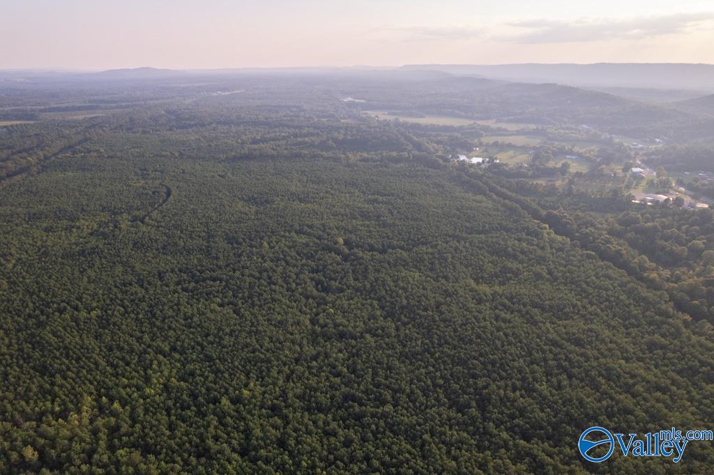 110 Acres Highway 11, Ashville, Alabama image 8