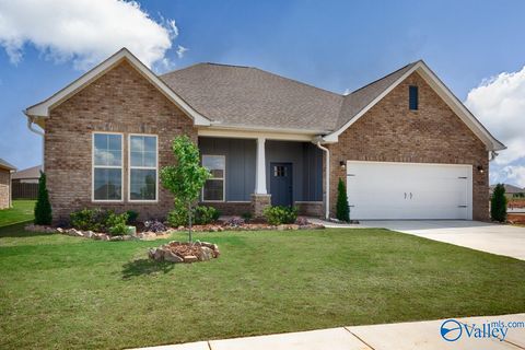 Homes For Sale - 136 Pike Ackert Road<br/> Meridianville, AL 35759