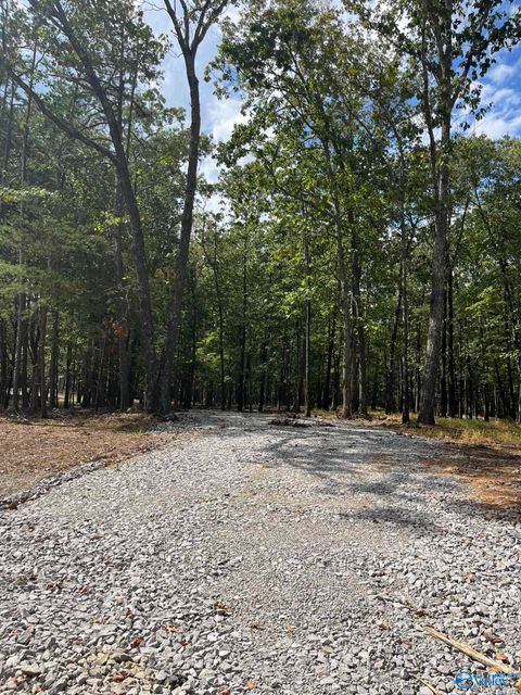 Vacant Land For Sale - 15069 Wade Point Road<br/> Huntsville, AL 35803