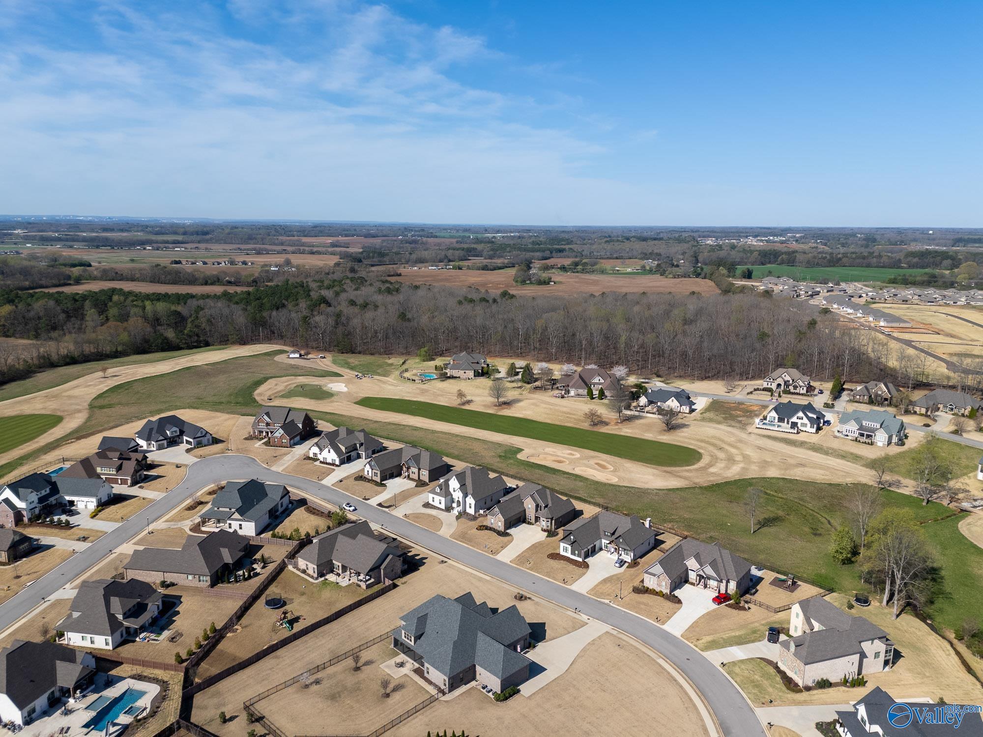 23007 Cog Hill Drive, Athens, Alabama image 45