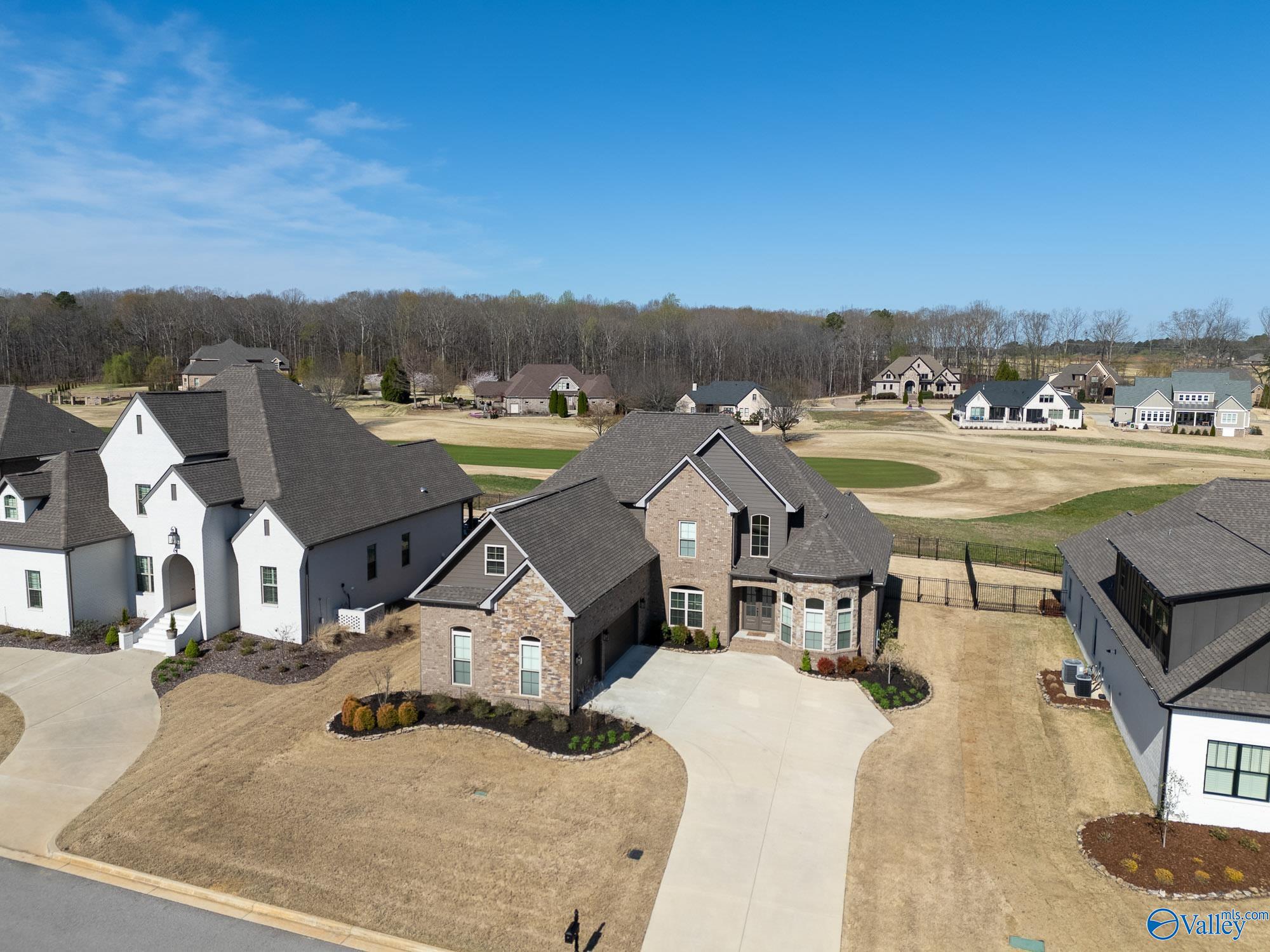 23007 Cog Hill Drive, Athens, Alabama image 3