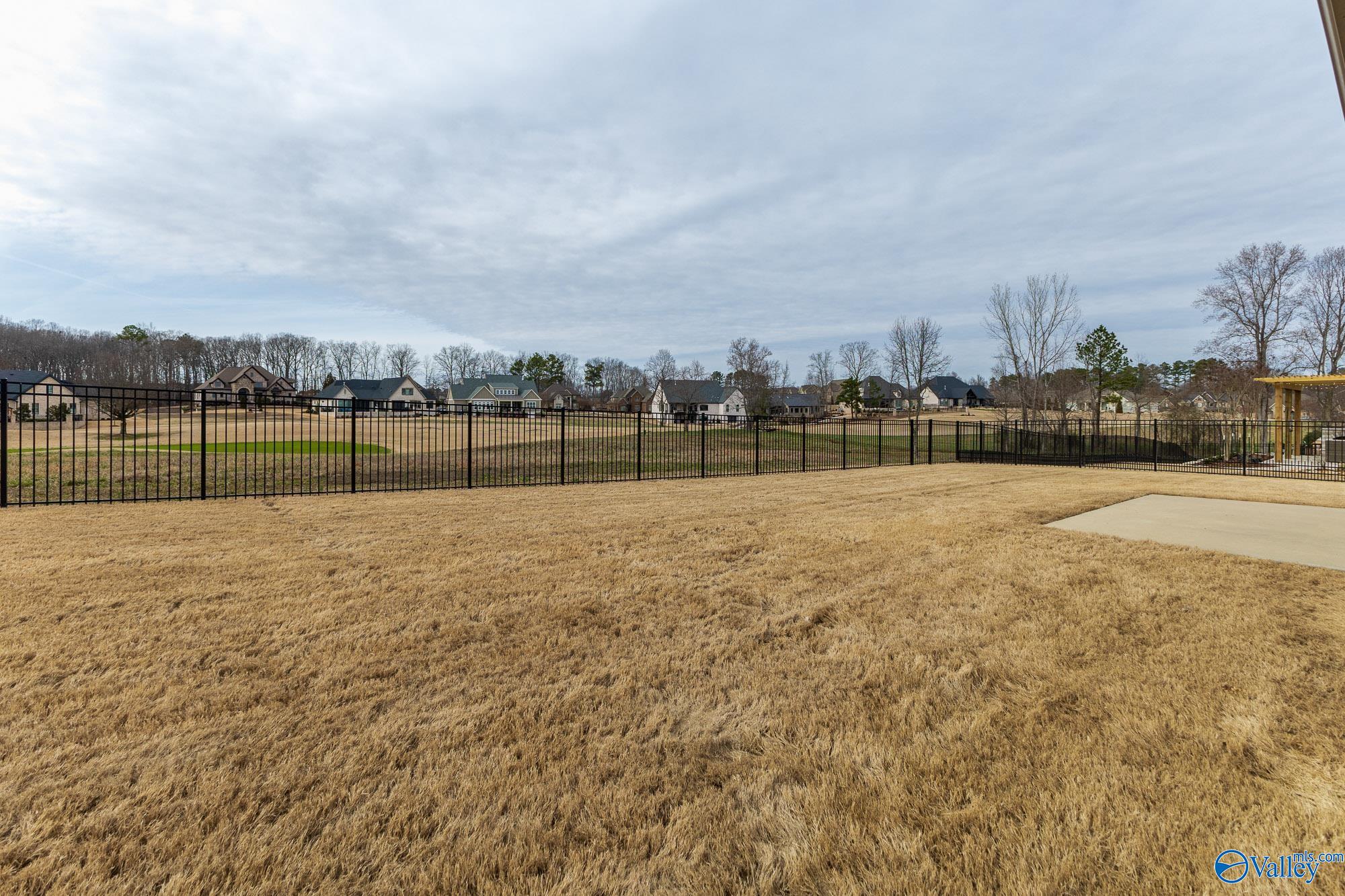 23007 Cog Hill Drive, Athens, Alabama image 46