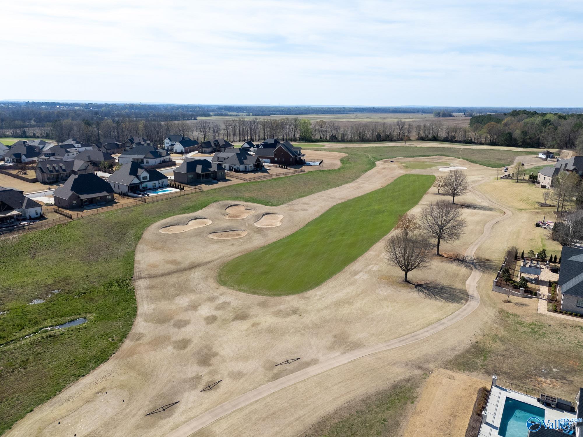 23007 Cog Hill Drive, Athens, Alabama image 47