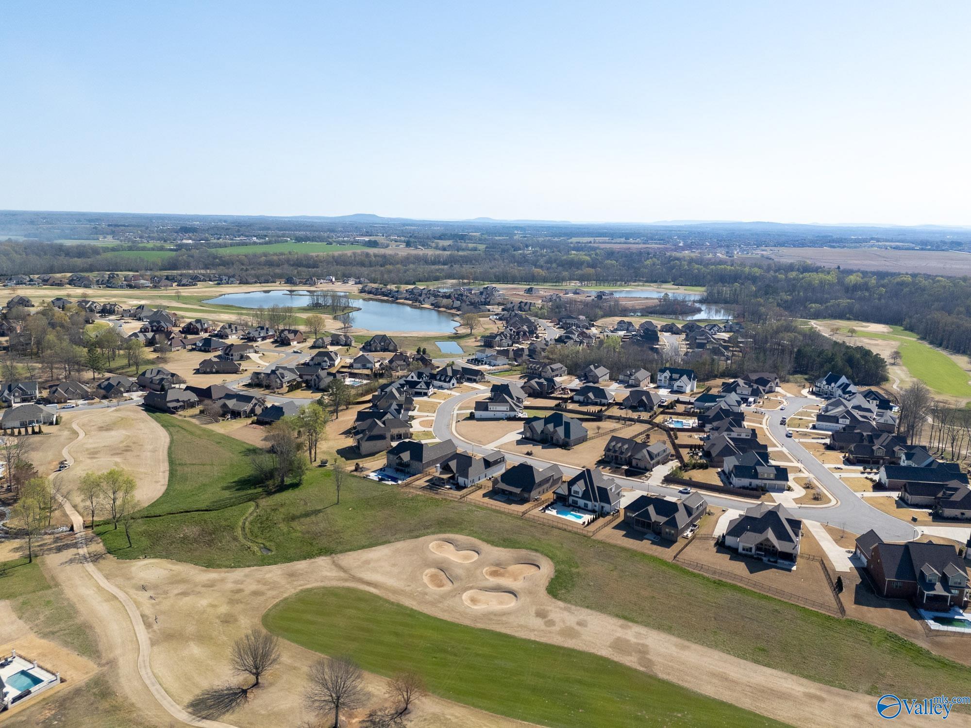 23007 Cog Hill Drive, Athens, Alabama image 46