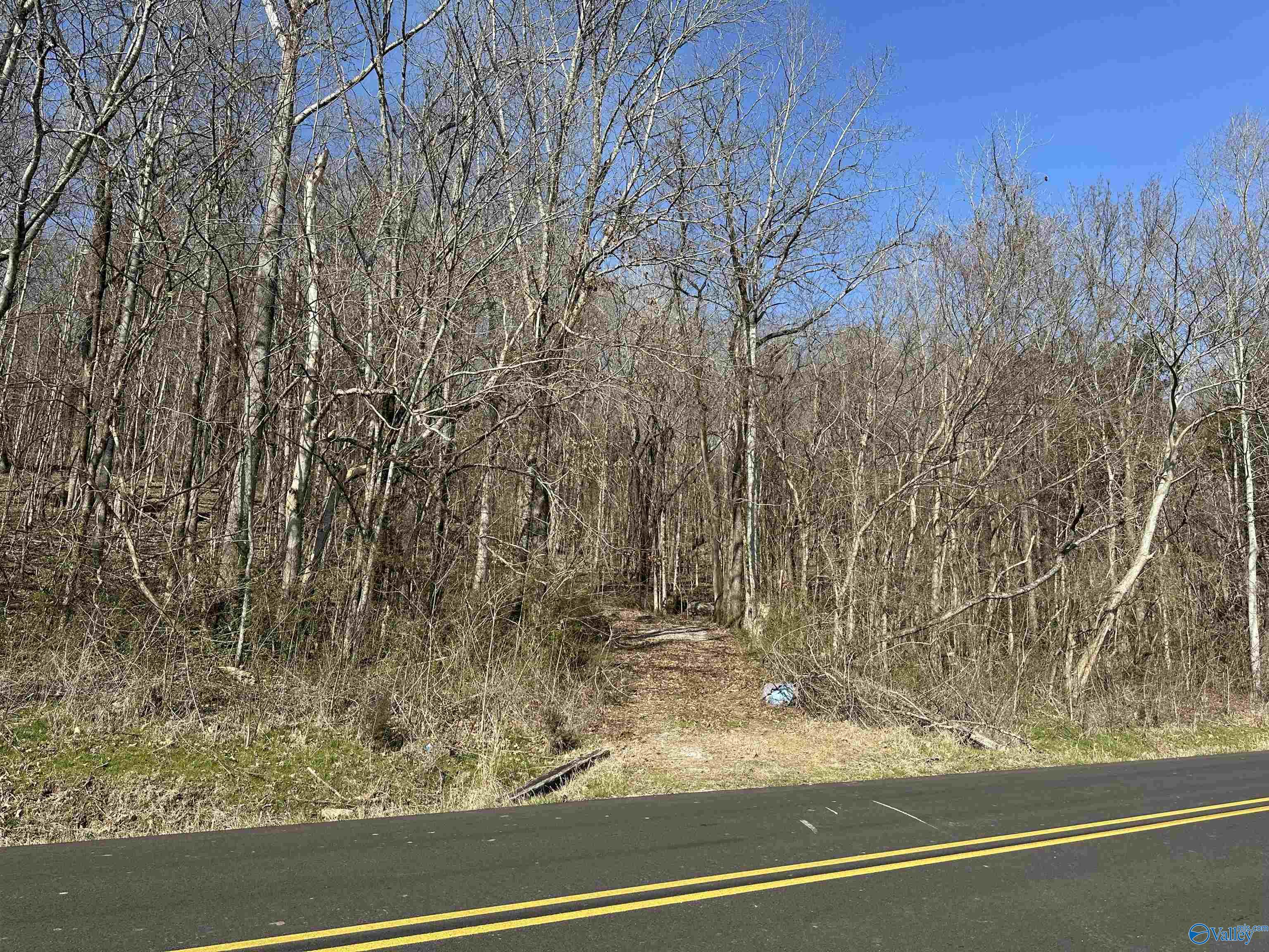 TBD Hurricane Road, New Market, Alabama image 1