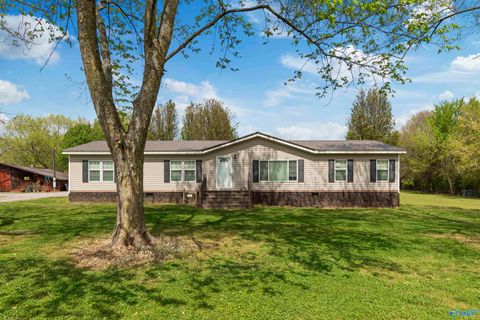 Mobile Home For Sale - 419 Maze Road<br/> Arab, AL 35016