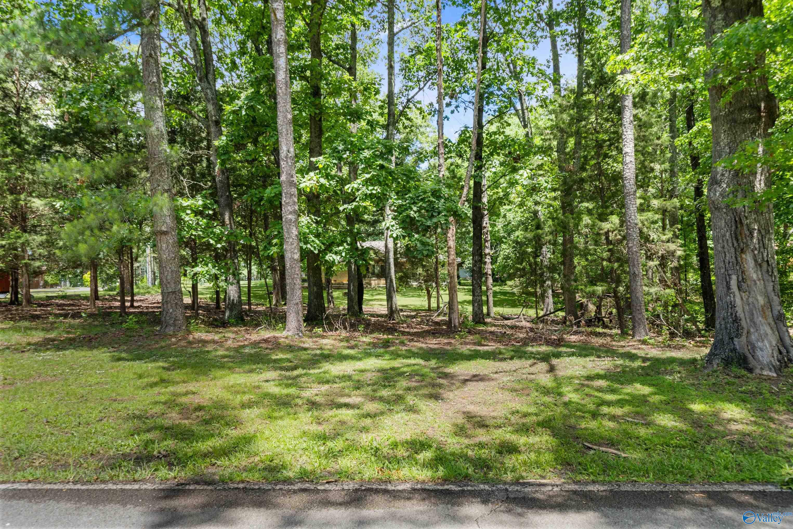 5112 Riverview Drive, Huntsville, Alabama image 5