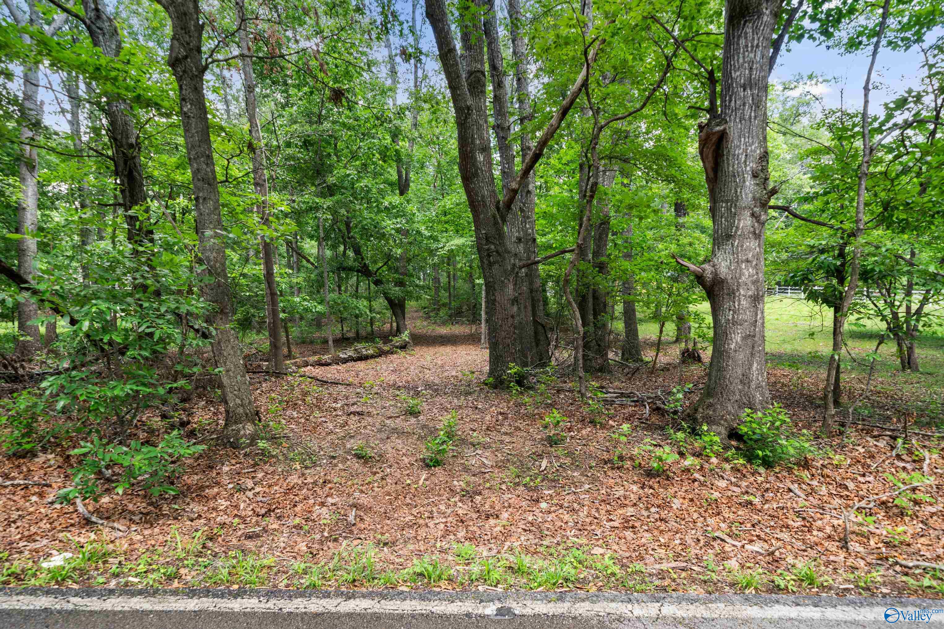 5112 Riverview Drive, Huntsville, Alabama image 47
