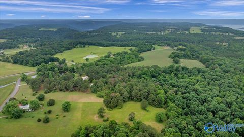 Vacant Land For Sale - 7.10 ACRES County Road 44<br/> Section, AL 35771