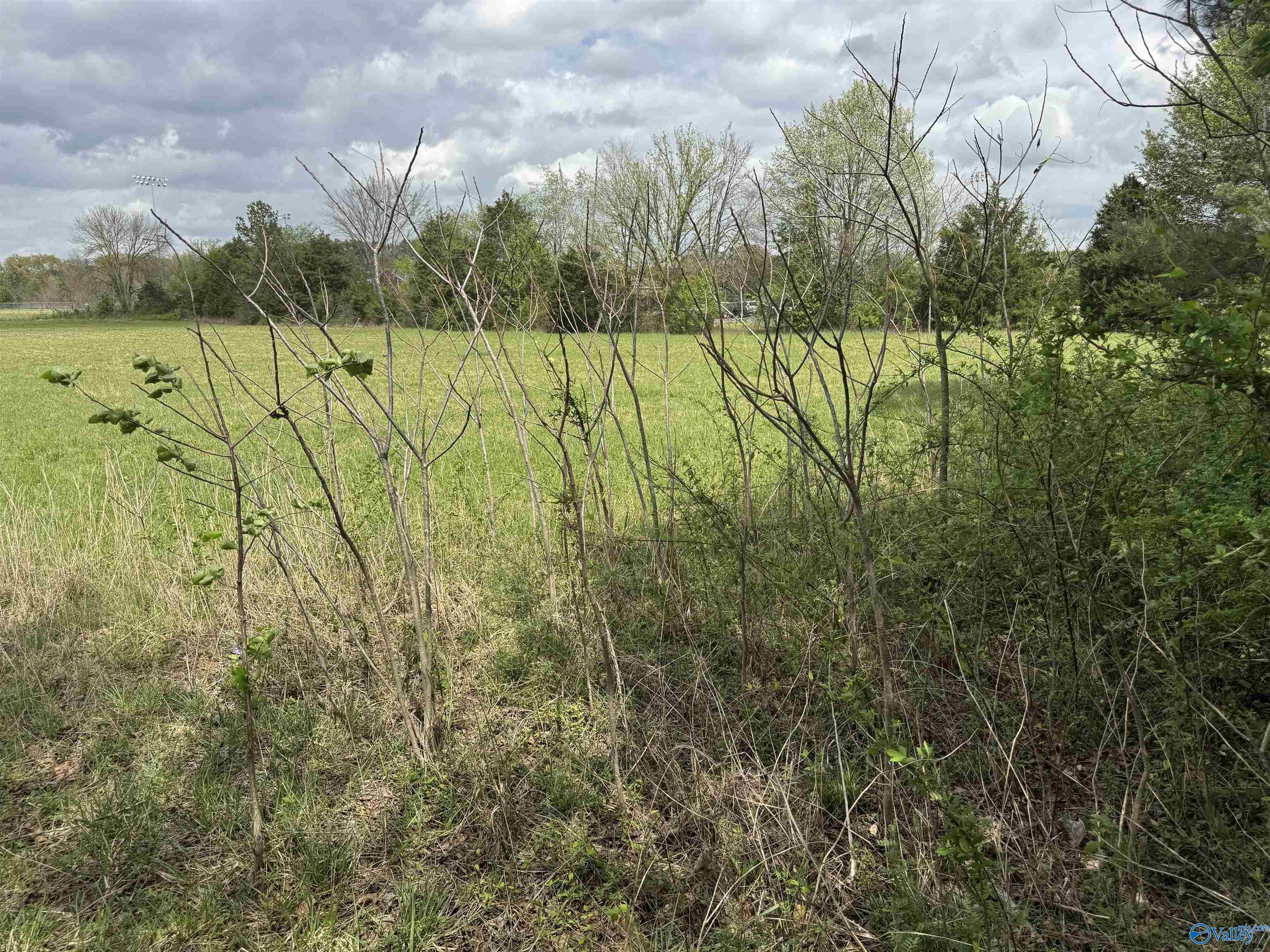 6.8 Acres Al Hwy 36, Danville, Alabama image 2