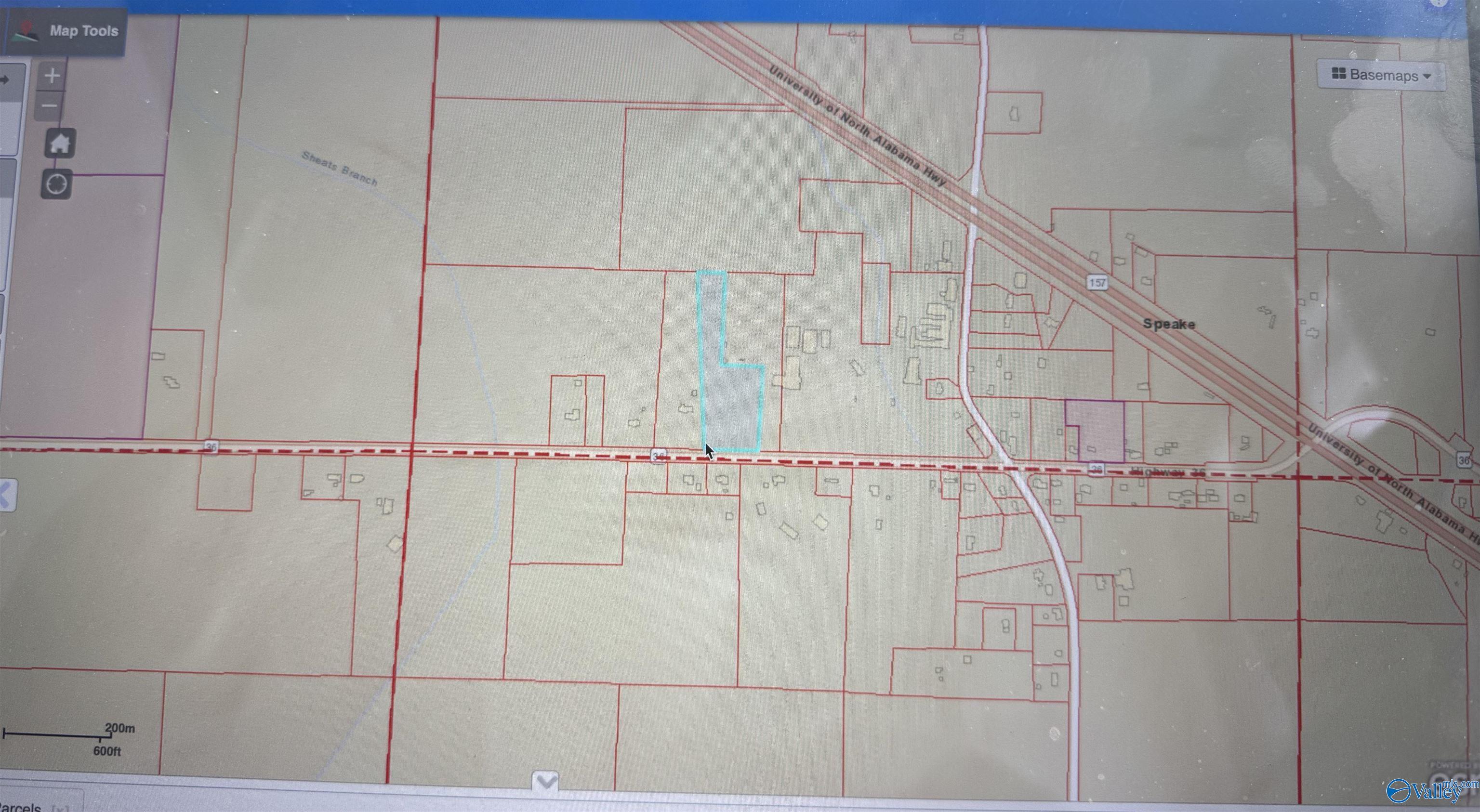 6.8 Acres Al Hwy 36, Danville, Alabama image 4