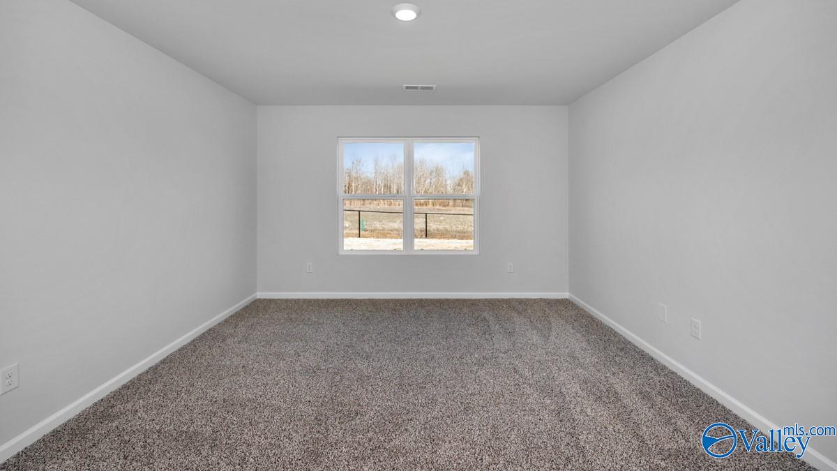 9906 Sequoyah Cove Drive, Owens Cross Roads, Alabama image 18