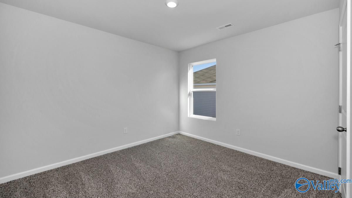 9906 Sequoyah Cove Drive, Owens Cross Roads, Alabama image 22
