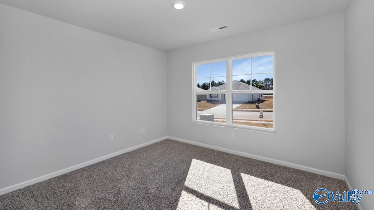 9906 Sequoyah Cove Drive, Owens Cross Roads, Alabama image 21