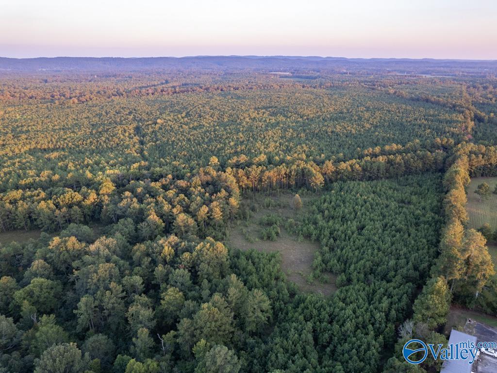 130 ACRES Highway 11, Ashville, Alabama image 7