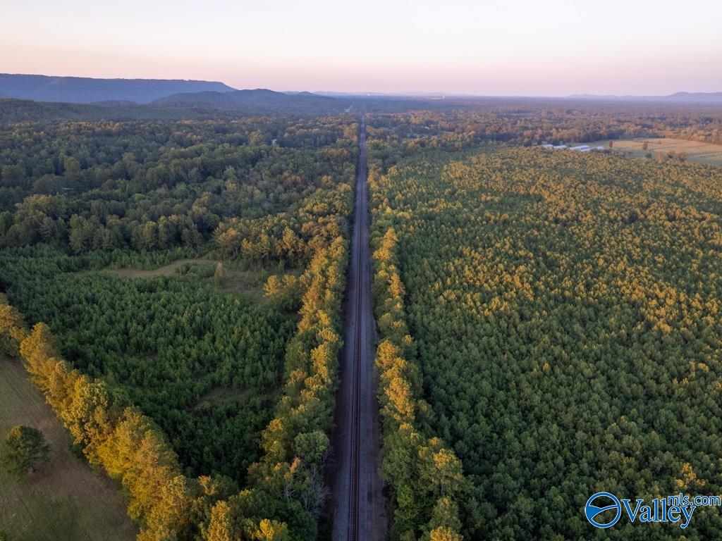 130 ACRES Highway 11, Ashville, Alabama image 8