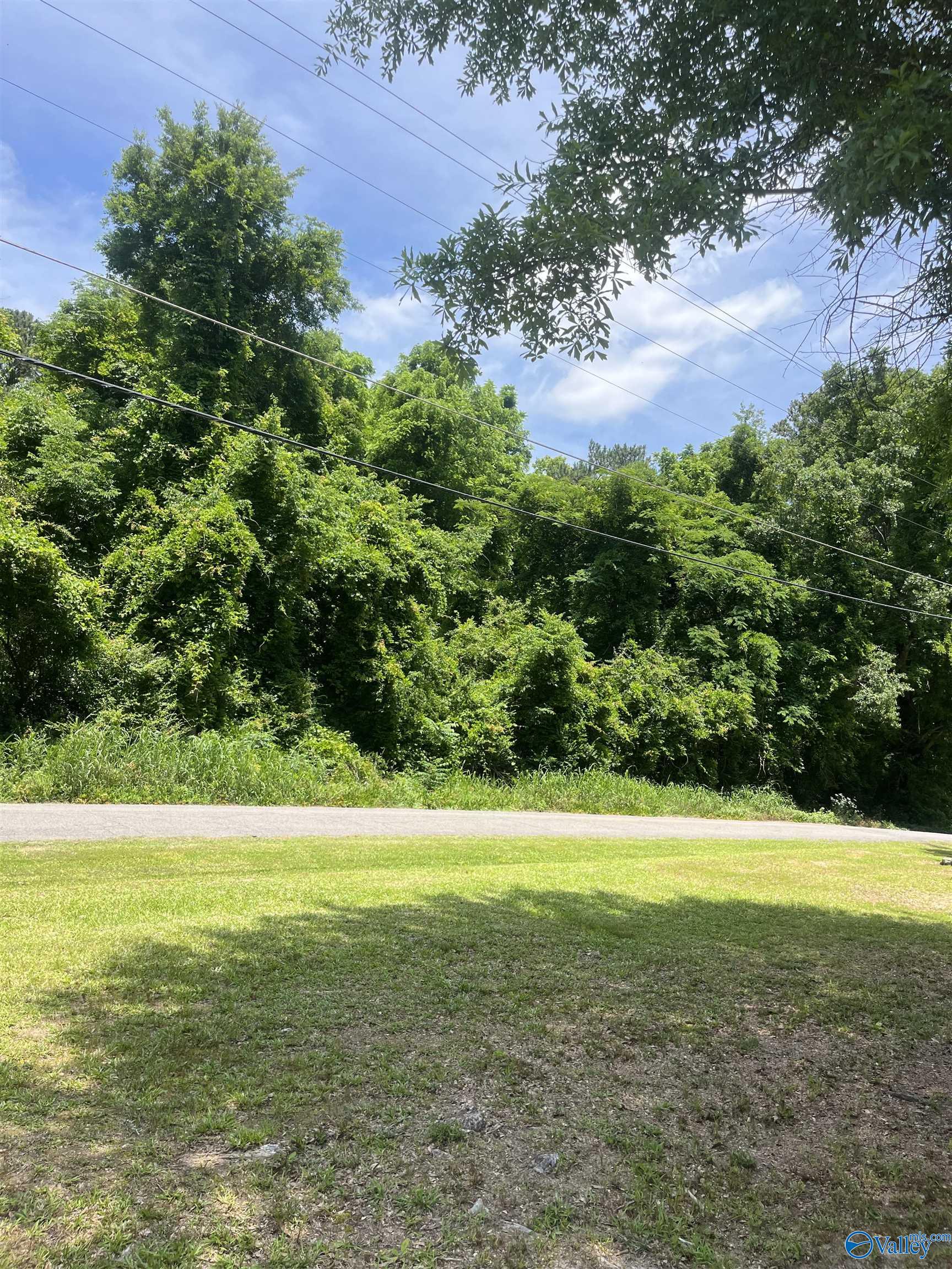 6.5acreage NE Springrock St, Gadsden, Alabama image 2