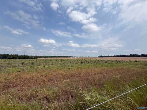 Vacant Land For Sale - 2A Ezell Road<br/> Athens, AL 35611