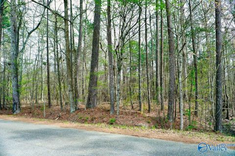 Vacant Land For Sale - LOT 5 Indian Lake Drive<br/> Etowah County, Rainbow City, AL 35906