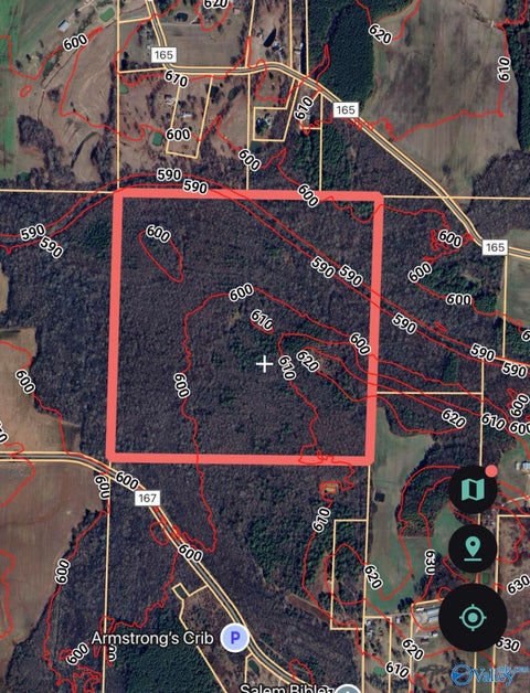 Vacant Land For Sale - 160 ACRES County Road 167<br/> Lawrence County, Moulton, AL 35650