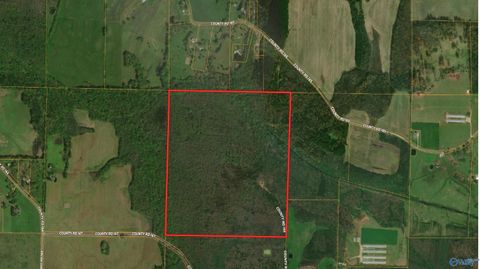 Vacant Land For Sale - 160 ACRES County Road 167<br/> Moulton, AL 35650
