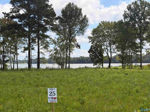 Vacant Land For Sale - LOT 25 Private Road<br/> Centre, AL 35960