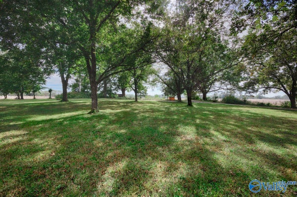 142 COUNTY LAKE RD, NEW MARKET, AL 35761 - Image 8b6d0ca8dfc4c043ecafc95d4643703b/1485463100