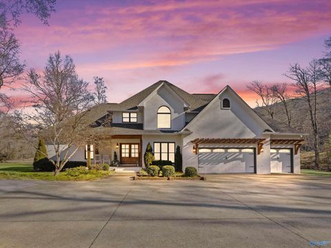 2665 Signal Point Road Guntersville AL 35976