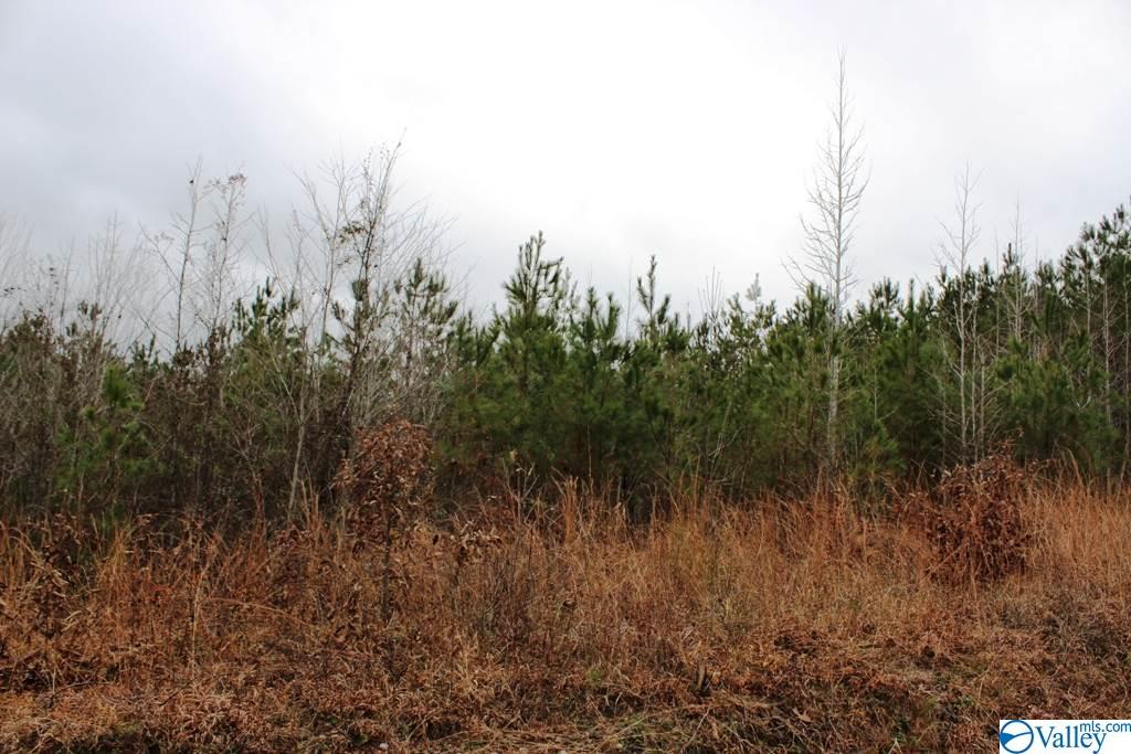 Lot 7 Quail Drive, Centre, Alabama image 1