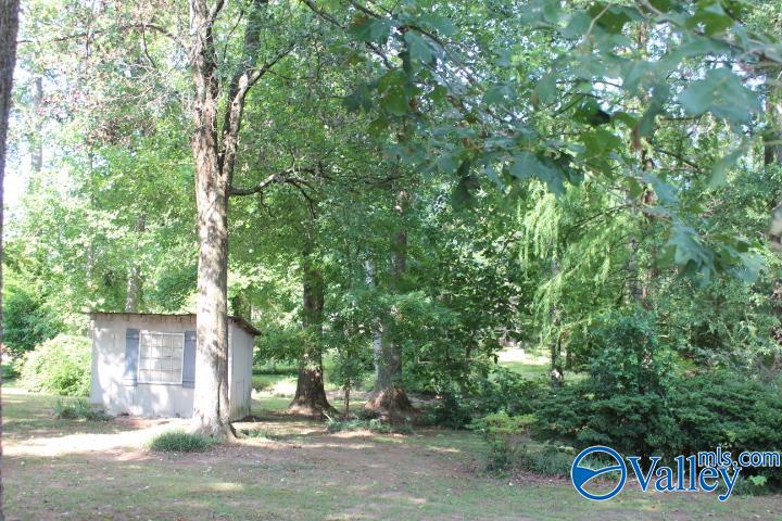 371 Church Avenue, Rainsville, Alabama image 6