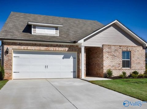 Photo of 119 Gypsy Way, Toney, AL 35773 (MLS # 21911577)