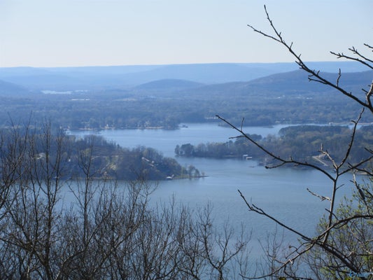 100 SCENIC DR, SECTION, AL 35771 - Image 8bbfba05854e397e8da40bdc7c483f76/929714419