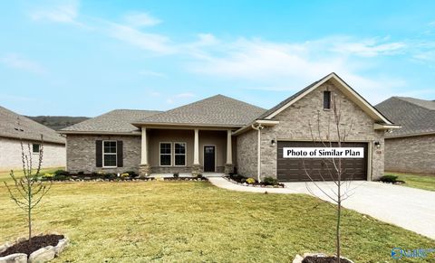 7104 Springwell Court SE Gurley AL 35748