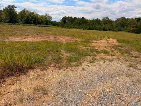 Vacant Land For Sale - LOT 16 County Road 39<br/> Cherokee County, Piedmont, AL 36272