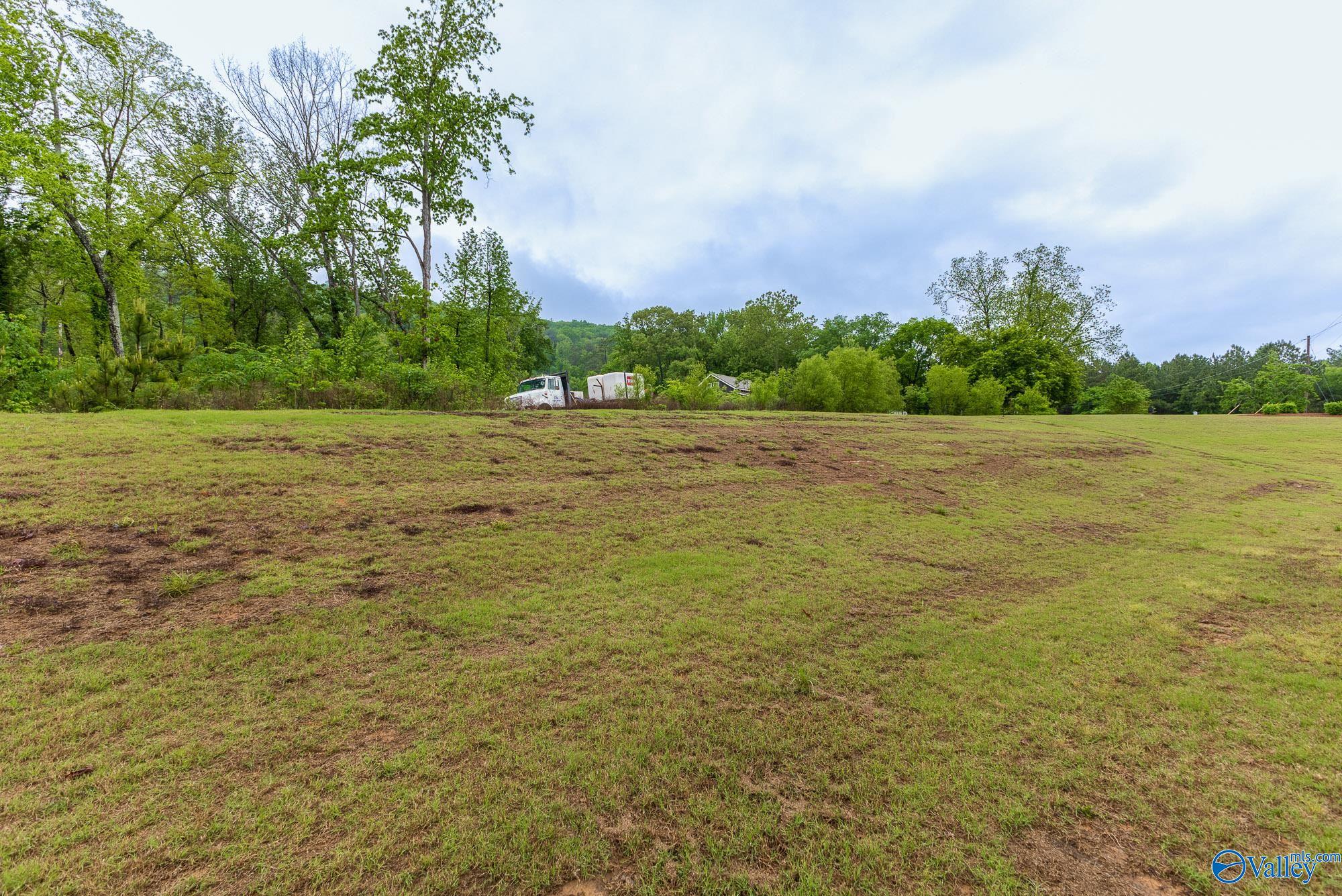 4018 SE Rockland Circle, Owens Cross Roads, Alabama image 24