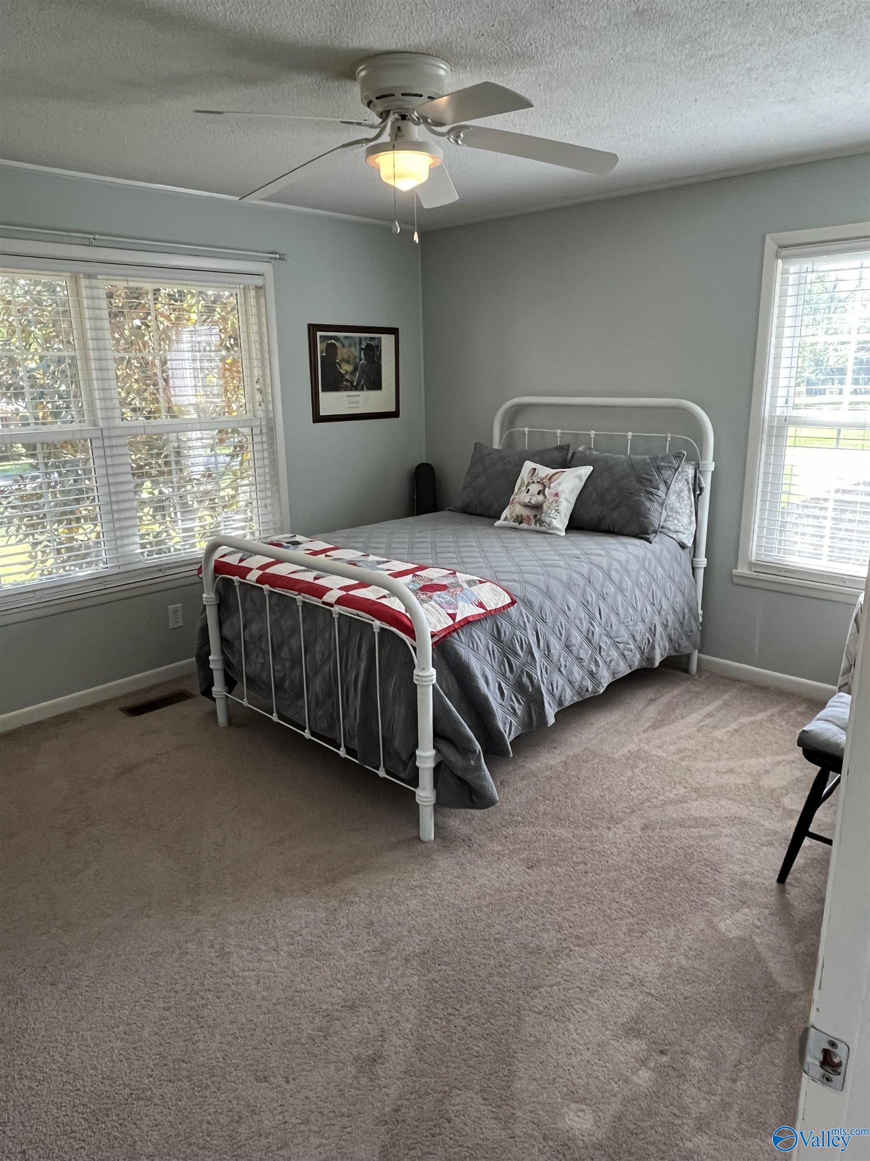 437 Hart Court, Arab, Alabama image 35