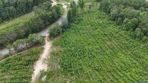 Vacant Land For Sale - 006 County Road 921<br/> Gaylesville, AL 35973