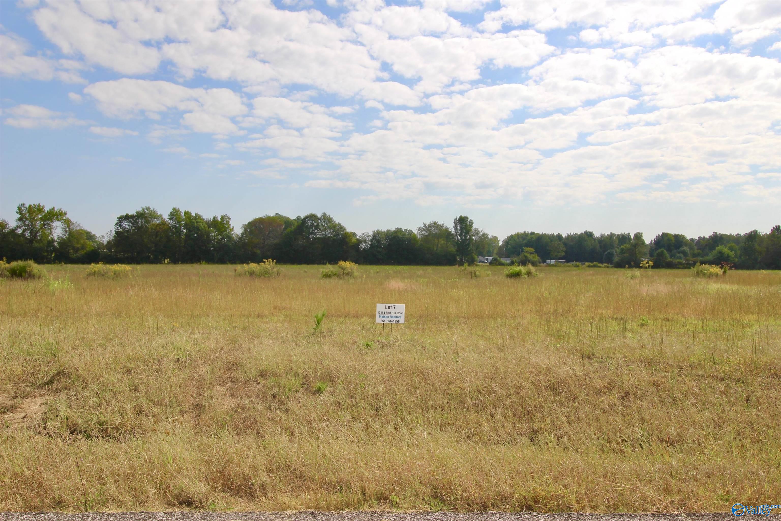 17194 Red Hill Road, Athens, Alabama image 2