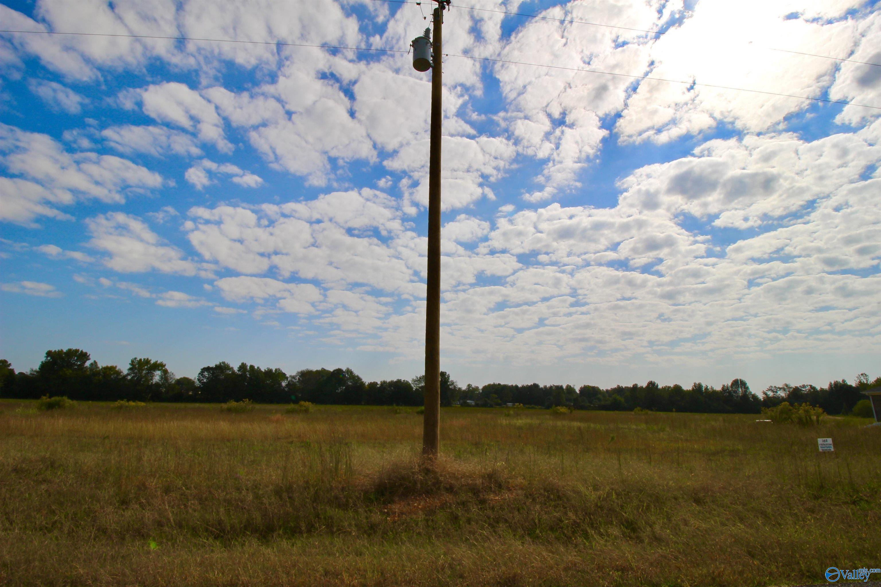 17194 Red Hill Road, Athens, Alabama image 3