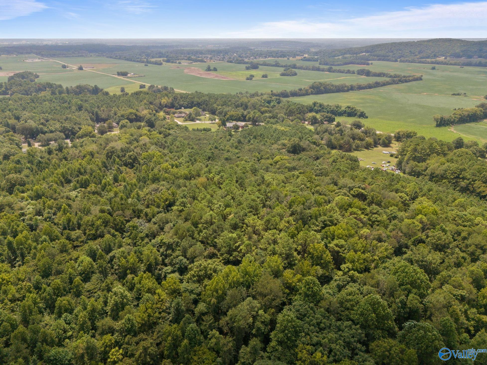 11 Acres Carters Gin Road, Toney, Alabama image 8