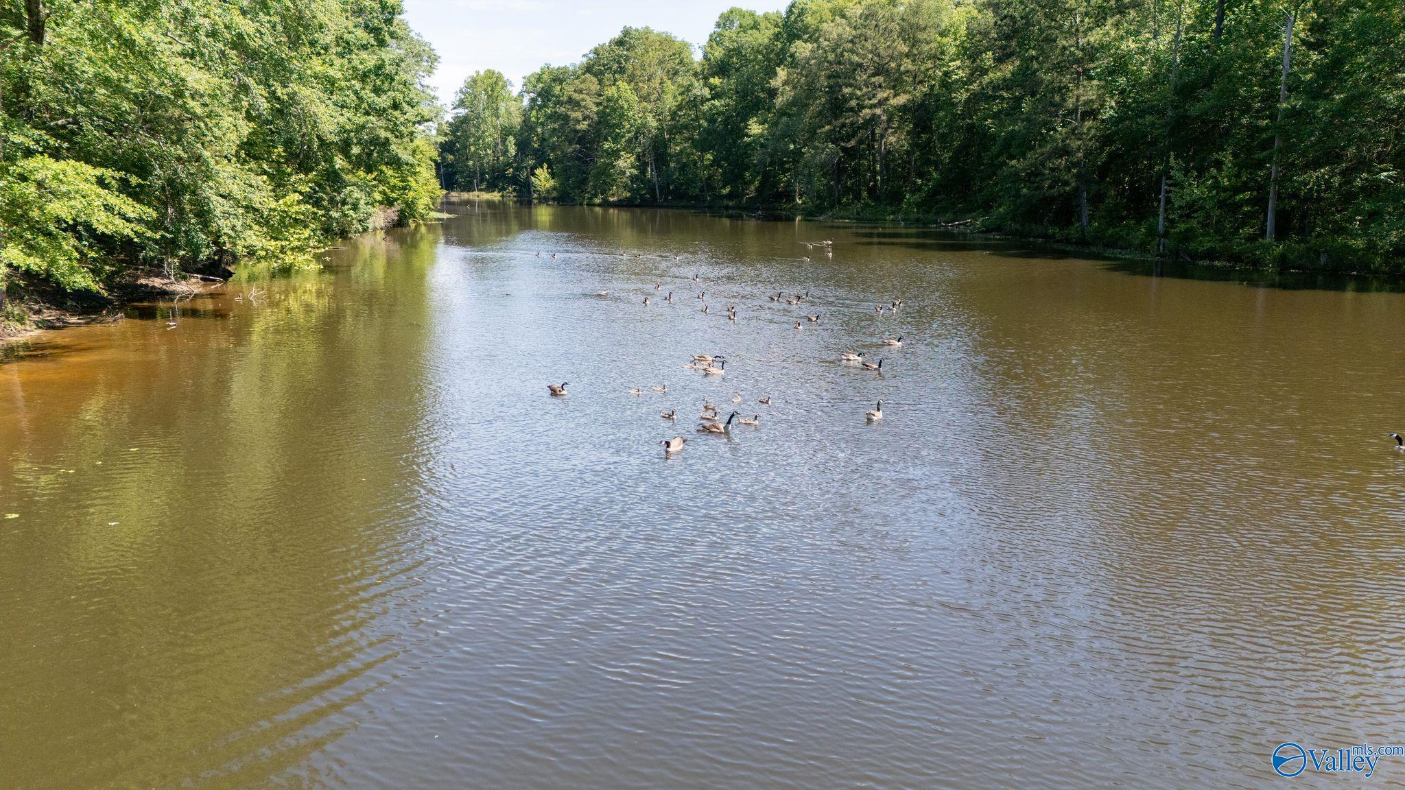 7301 County Road 214, Trinity, Alabama image 41