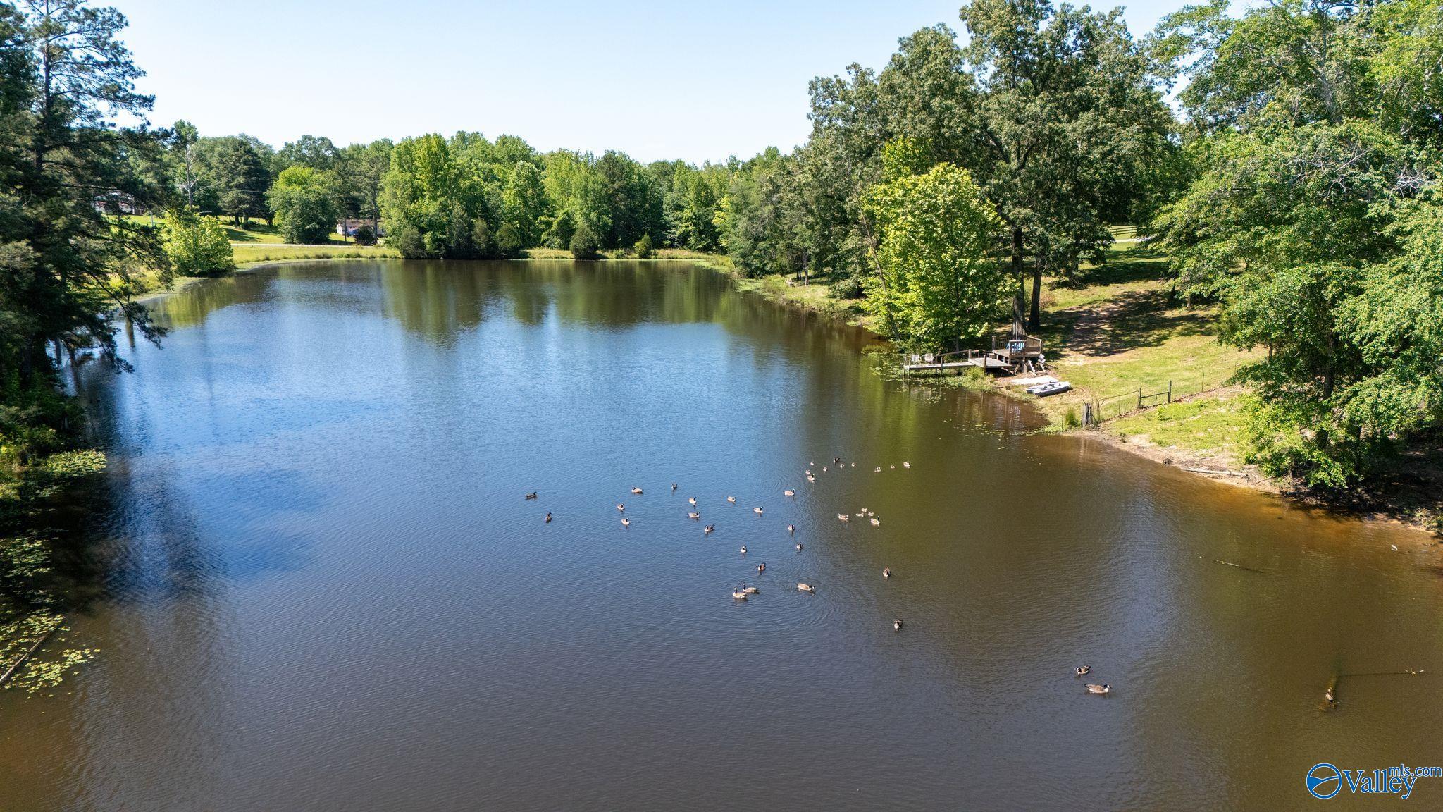 7301 County Road 214, Trinity, Alabama image 5