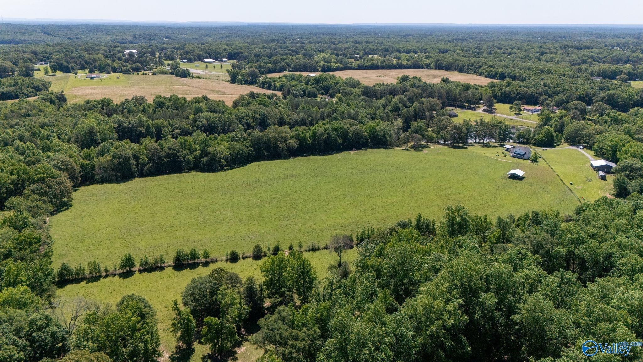 7301 County Road 214, Trinity, Alabama image 44