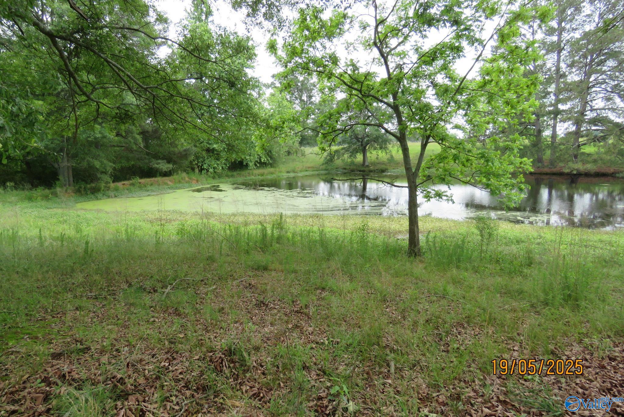 835 New Clear Creek Road, Boaz, Alabama image 17