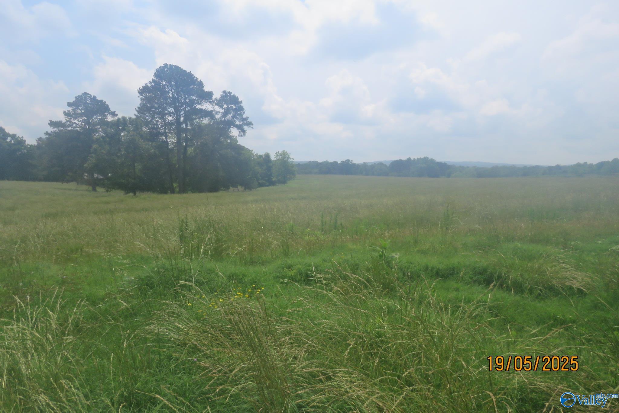 835 New Clear Creek Road, Boaz, Alabama image 3