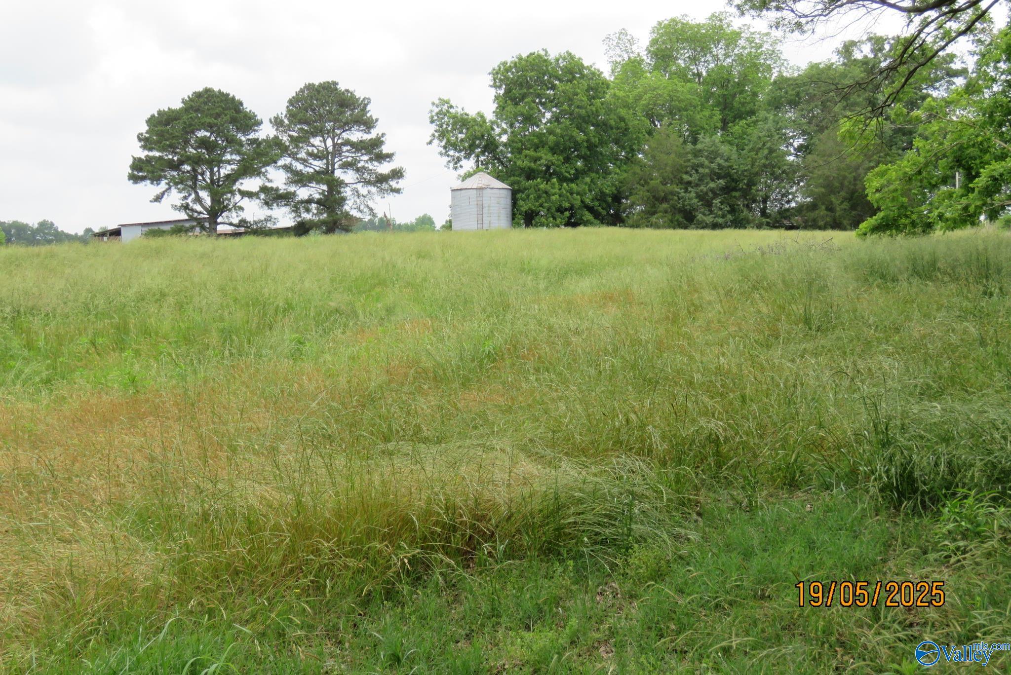 835 New Clear Creek Road, Boaz, Alabama image 15