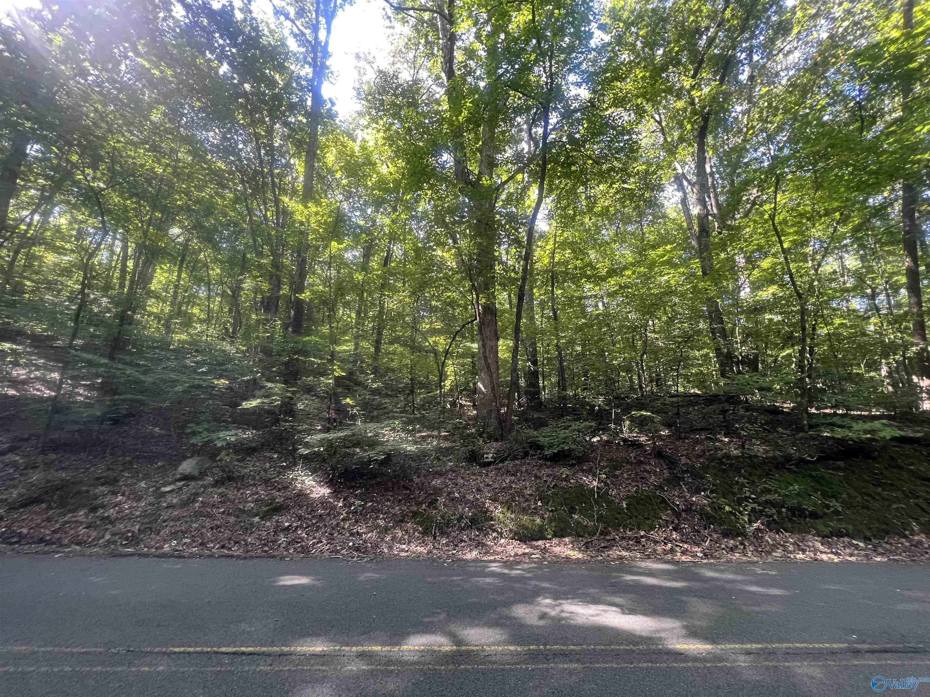 Lot 91 And 92 Wyeth Drive, Guntersville, Alabama image 1